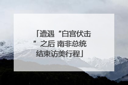 遭遇“白宫伏击”之后 南非总统结束访美行程