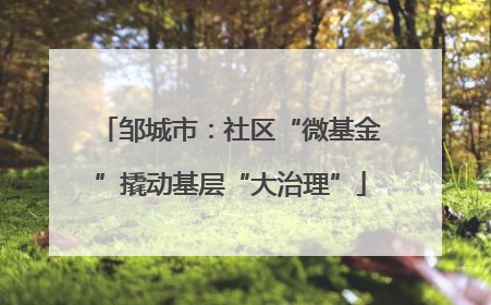 邹城市：社区“微基金”撬动基层“大治理”