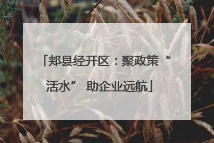 郏县经开区：聚政策“活水” 助企业远航