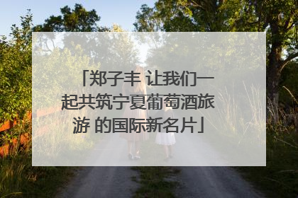 郑子丰 让我们一起共筑宁夏葡萄酒旅游 的国际新名片