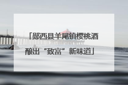 郧西县羊尾镇樱桃酒酿出“致富”新味道