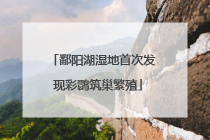 鄱阳湖湿地首次发现彩鹮筑巢繁殖