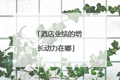 酒店业绩的增长动力在哪