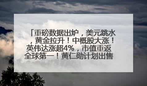 重磅数据出炉，美元跳水，黄金拉升！中概股大涨！英伟达涨超4%，市值重返全球第一！黄仁勋计划出售至多600万股股票