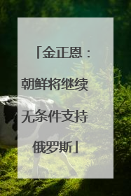 金正恩：朝鲜将继续无条件支持俄罗斯