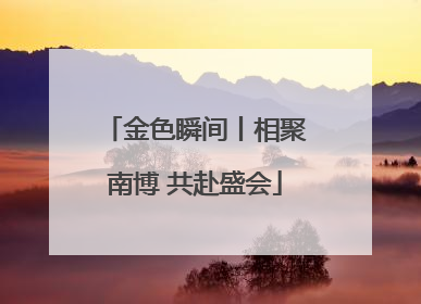金色瞬间丨相聚南博 共赴盛会
