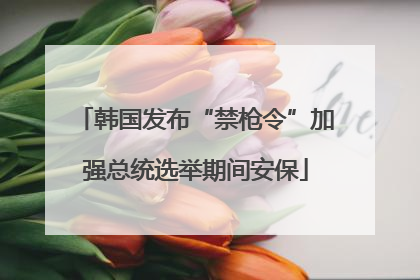 韩国发布“禁枪令”加强总统选举期间安保