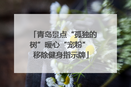 青岛景点“孤独的树”暖心“宠粉” 移除健身指示牌