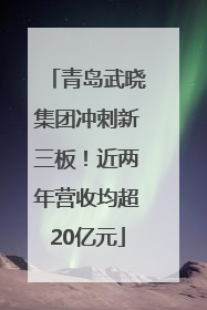 青岛武晓集团冲刺新三板！近两年营收均超20亿元