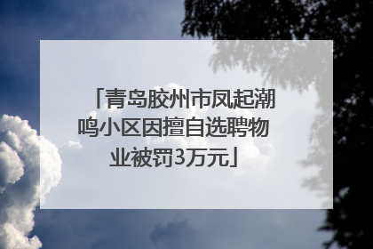 青岛胶州市凤起潮鸣小区因擅自选聘物业被罚3万元