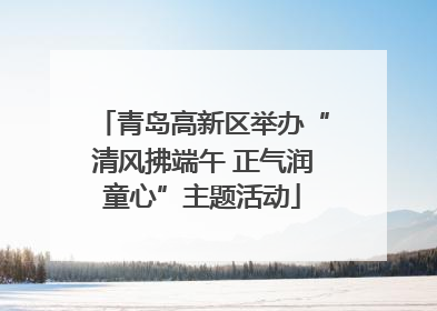 青岛高新区举办“清风拂端午 正气润童心”主题活动