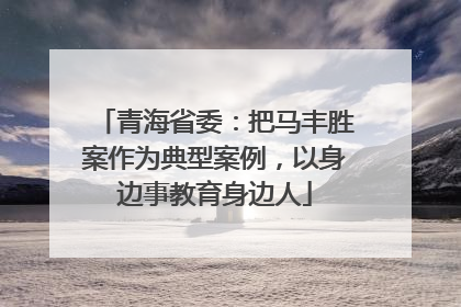 青海省委：把马丰胜案作为典型案例，以身边事教育身边人