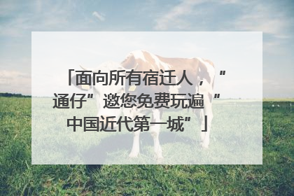 面向所有宿迁人，“通仔”邀您免费玩遍“中国近代第一城”
