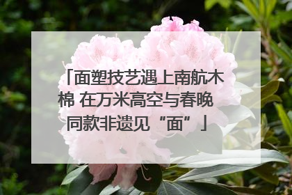 面塑技艺遇上南航木棉 在万米高空与春晚同款非遗见“面”