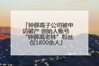 钟薛高子公司被申请破产 创始人账号“钟薛高老林”粉丝仅1800余人
