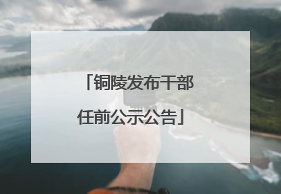 铜陵发布干部任前公示公告