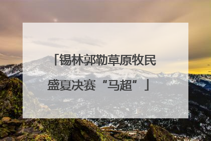 锡林郭勒草原牧民盛夏决赛“马超”