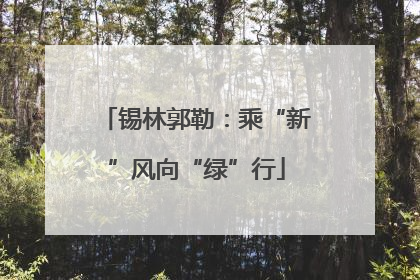 锡林郭勒：乘“新”风向“绿”行