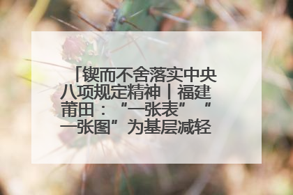 锲而不舍落实中央八项规定精神丨福建莆田：“一张表”“一张图”为基层减轻“数字负担”