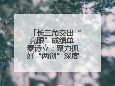 长三角交出“亮眼”成绩单 秦诗立：聚力抓好“两创”深度融合这个棋眼