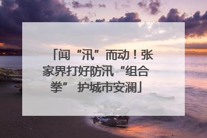 闻“汛”而动！张家界打好防汛“组合拳” 护城市安澜