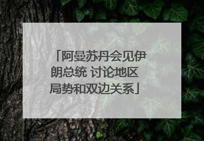 阿曼苏丹会见伊朗总统 讨论地区局势和双边关系