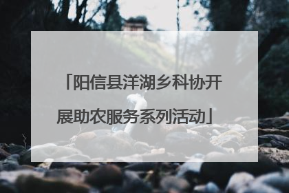阳信县洋湖乡科协开展助农服务系列活动