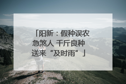 阳新：假种误农急煞人 千斤良种送来“及时雨”