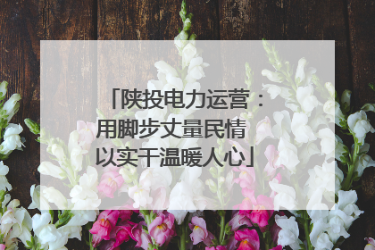 陕投电力运营：用脚步丈量民情 以实干温暖人心