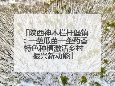 陕西神木栏杆堡镇：一垄瓜苗一垄药香 特色种植激活乡村振兴新动能
