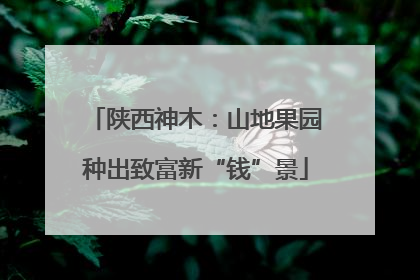陕西神木：山地果园种出致富新“钱”景
