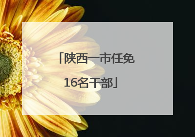 陕西一市任免16名干部