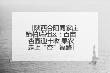 陕西合阳同家庄镇柏瑞社区：百亩杏园迎丰收 果农走上“杏”福路