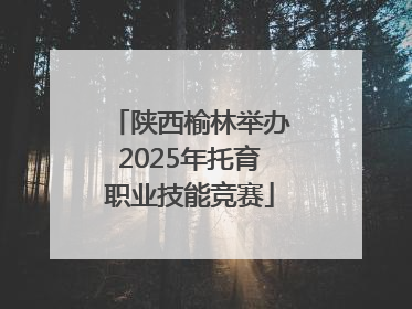 陕西榆林举办2025年托育职业技能竞赛