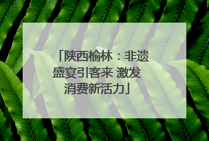 陕西榆林：非遗盛宴引客来 激发消费新活力
