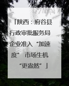 陕西：府谷县行政审批服务局企业准入“加速度” 市场生机“更盎然”