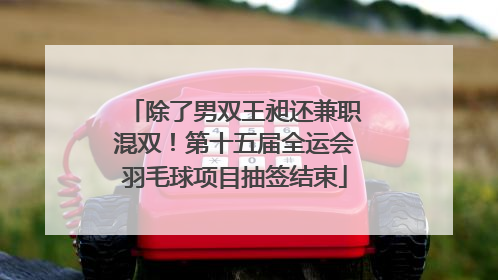 除了男双王昶还兼职混双！第十五届全运会羽毛球项目抽签结束
