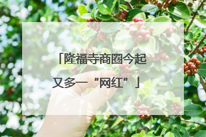 隆福寺商圈今起又多一“网红”