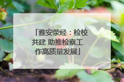 雅安荥经：检校共建 助推检察工作高质量发展