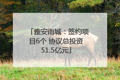 雅安雨城：签约项目6个 协议总投资51.5亿元