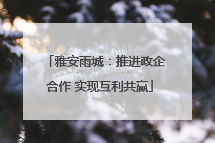 雅安雨城：推进政企合作 实现互利共赢