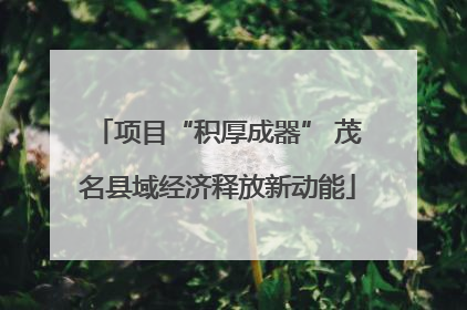项目“积厚成器” 茂名县域经济释放新动能