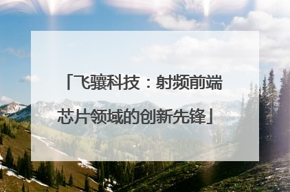 飞骧科技：射频前端芯片领域的创新先锋