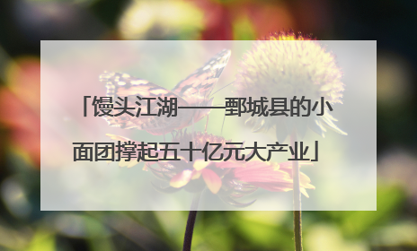 馒头江湖——鄄城县的小面团撑起五十亿元大产业