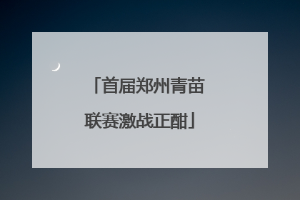 首届郑州青苗联赛激战正酣