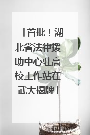 首批！湖北省法律援助中心驻高校工作站在武大揭牌