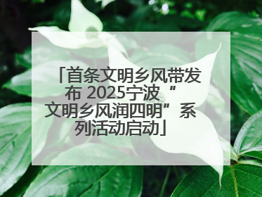 首条文明乡风带发布 2025宁波“文明乡风润四明”系列活动启动