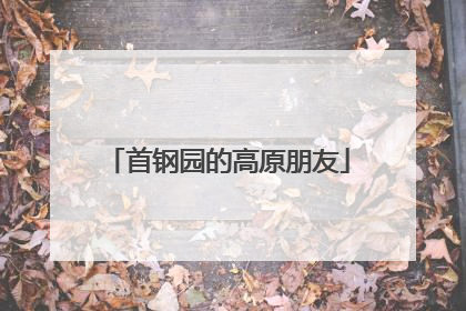 首钢园的高原朋友