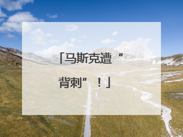 马斯克遭“背刺”！