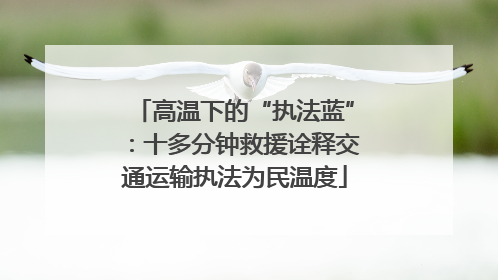 高温下的“执法蓝”：十多分钟救援诠释交通运输执法为民温度